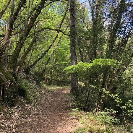 Sejour Au Coeur De La Dordogne Avec Piscine Et Terrasse - Fr-1-616-260 Nyaraló *